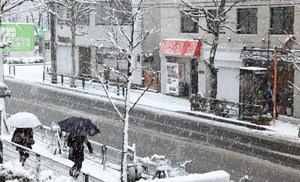 新宿　雪.jpg